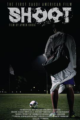 大帅电视剧海报